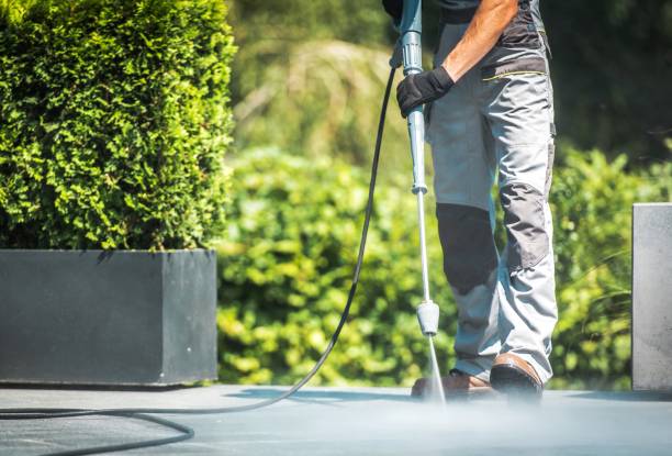 Best Animal Enclosure Cleaning  in Philipsburg, MT